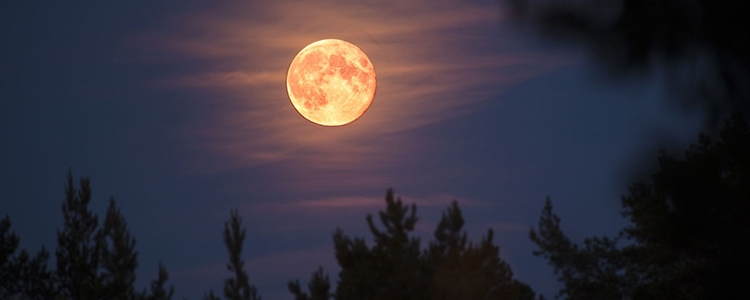 Observarea cerului: săptămâna 23 – 30 Aprilie 2021 Observarea cerului: săptămâna 23 – 30 Aprilie 2021