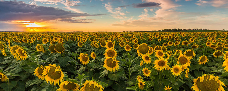 Observarea cerului: săptămâna 18 – 25 iunie 2021 Observarea cerului: săptămâna 18 – 25 iunie 2021